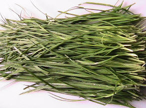 Retail herbs, fresh cut organic garlic chives. 零售英国鲜割有机韭菜0210