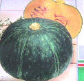 Chinese pumpkin, can be boiled, stirfried, roasted and stewed etc. tastes like sweet chestnuts