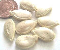 Retail Chinese pumpkin seeds. ӢйϹ(Ϲ)